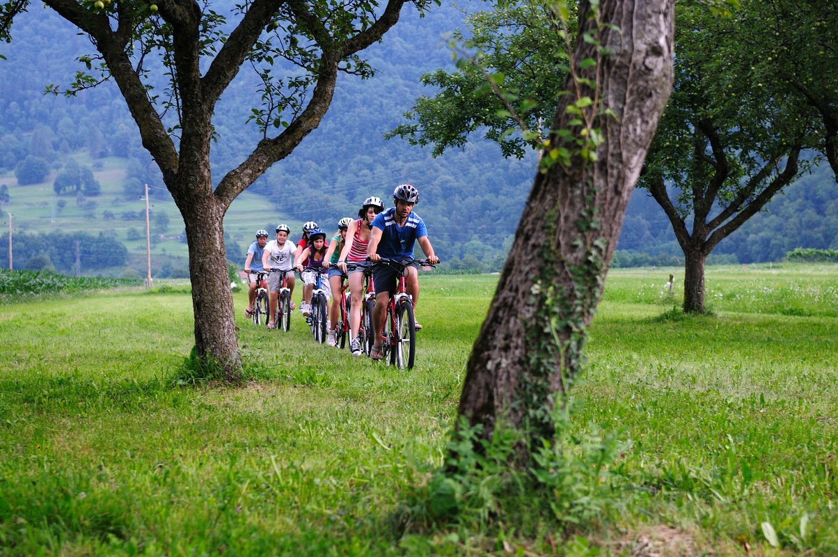 Maya-team - Cycling-trip-half-day between the trees.jpg