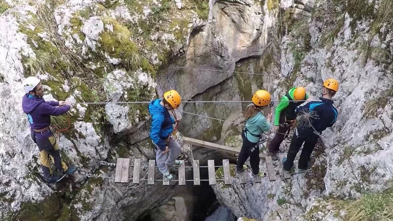 srnica 1.jpg srnica 1.jpg